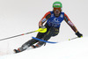 Erin Mielzynski of Canada skiing in first run of women slalom race of Audi FIS Alpine skiing World cup in Lienz, Austria. Women slalom race of Audi FIS Alpine skiing World cup 2013-2014 was held on Sunday, 29th of December 2013 in Lienz, Austria.
