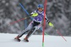 Bernadette Schild in action during 1st run of ladies Slalom of the Bormio FIS Ski World Cup at the Stelvio Course in Bormio, Italy on 2014/01/05.
