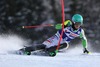 Felix Neureuther of Germany in action during 1st run of mens Slalom of the Bormio FIS Ski World Cup at the Stelvio Course in Bormio, Italy on 2014/01/06.
