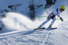 2nd place Anna Fenninger of Austria in action during ladies downhill of the Altenmarkt Zauchnesee FIS Ski Alpine World Cup at the Kaelberloch course in Zauchensee, Austria on 2014/01/11.
