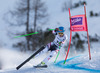 1st place Elisabeth Goergl of Austria in action during ladies downhill of the Altenmarkt Zauchnesee FIS Ski Alpine World Cup at the Kaelberloch course in Zauchensee, Austria on 2014/01/11.
