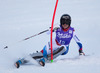 Lara Gut of Switzerland in action during Slalom of the ladies Super Combined of the Altenmarkt Zauchnesee FIS Ski Alpine World Cup at the Kaelberloch course in Zauchensee, Austria on 2014/01/12.
