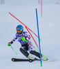 Elisabeth Goergl of Austria in action during Slalom of the ladies Super Combined of the Altenmarkt Zauchnesee FIS Ski Alpine World Cup at the Kaelberloch course in Zauchensee, Austria on 2014/01/12.
