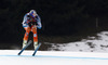Aksel Lund Svindal of Norway skiing in first training for men downhill race of Audi FIS Alpine skiing World cup in Kitzbuehel, Austria. First training for 74th Hahnenkamm men downhill race of Audi FIS Alpine skiing World cup 2013-2014 was held on Thursday, 23rd of January 2014 on Streif course in Kitzbuehel, Austria.
