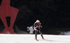 Natko Zrncic-Dim of Croatia skiing in first training for men downhill race of Audi FIS Alpine skiing World cup in Kitzbuehel, Austria. First training for 74th Hahnenkamm men downhill race of Audi FIS Alpine skiing World cup 2013-2014 was held on Thursday, 23rd of January 2014 on Streif course in Kitzbuehel, Austria.
