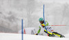 Felix Neureuther of Germany skiing in first run of men slalom race of Audi FIS Alpine skiing World cup in Kitzbuehel, Austria. Men slalom race of Audi FIS Alpine skiing World cup 2013-2014 was held on Friday, 24th of January 2014 in Kitzbuehel, Austria.

