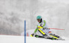 Felix Neureuther of Germany skiing in first run of men slalom race of Audi FIS Alpine skiing World cup in Kitzbuehel, Austria. Men slalom race of Audi FIS Alpine skiing World cup 2013-2014 was held on Friday, 24th of January 2014 in Kitzbuehel, Austria.
