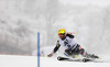Manfred Moelgg of Italy skiing in first run of men slalom race of Audi FIS Alpine skiing World cup in Kitzbuehel, Austria. Men slalom race of Audi FIS Alpine skiing World cup 2013-2014 was held on Friday, 24th of January 2014 in Kitzbuehel, Austria.
