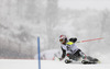 Manfred Moelgg of Italy skiing in first run of men slalom race of Audi FIS Alpine skiing World cup in Kitzbuehel, Austria. Men slalom race of Audi FIS Alpine skiing World cup 2013-2014 was held on Friday, 24th of January 2014 in Kitzbuehel, Austria.
