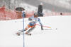Leif Kristian Haugen of Norway skiing in first run of men slalom race of Audi FIS Alpine skiing World cup in Kitzbuehel, Austria. Men slalom race of Audi FIS Alpine skiing World cup 2013-2014 was held on Friday, 24th of January 2014 in Kitzbuehel, Austria.
