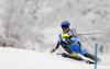 Anton Lahdenperae of Sweden skiing in first run of men slalom race of Audi FIS Alpine skiing World cup in Kitzbuehel, Austria. Men slalom race of Audi FIS Alpine skiing World cup 2013-2014 was held on Friday, 24th of January 2014 in Kitzbuehel, Austria.
