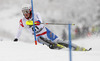Daniel Yule of Switzerland skiing in first run of men slalom race of Audi FIS Alpine skiing World cup in Kitzbuehel, Austria. Men slalom race of Audi FIS Alpine skiing World cup 2013-2014 was held on Friday, 24th of January 2014 in Kitzbuehel, Austria.
