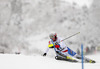 Daniel Yule of Switzerland skiing in first run of men slalom race of Audi FIS Alpine skiing World cup in Kitzbuehel, Austria. Men slalom race of Audi FIS Alpine skiing World cup 2013-2014 was held on Friday, 24th of January 2014 in Kitzbuehel, Austria.
