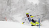 David Ryding of Great Britain skiing in first run of men slalom race of Audi FIS Alpine skiing World cup in Kitzbuehel, Austria. Men slalom race of Audi FIS Alpine skiing World cup 2013-2014 was held on Friday, 24th of January 2014 in Kitzbuehel, Austria.
