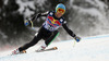 Fifth placed Christof Innerhofer of Italy skiing in men downhill race of Audi FIS Alpine skiing World cup in Kitzbuehel, Austria. Men downhill race of Audi FIS Alpine skiing World cup 2013-2014 was held on Saturday, 25th of January 2014 on Streif course in Kitzbuehel, Austria.
