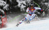 Sandro Viletta of Switzerland skiing in men downhill race of Audi FIS Alpine skiing World cup in Kitzbuehel, Austria. Men downhill race of Audi FIS Alpine skiing World cup 2013-2014 was held on Saturday, 25th of January 2014 on Streif course in Kitzbuehel, Austria.
