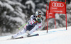 Winner Hannes Reichelt of Austria skiing in men downhill race of Audi FIS Alpine skiing World cup in Kitzbuehel, Austria. Men downhill race of Audi FIS Alpine skiing World cup 2013-2014 was held on Saturday, 25th of January 2014 on Streif course in Kitzbuehel, Austria.
