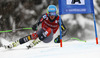 Ted Ligety of USA skiing in men super-g race of Audi FIS Alpine skiing World cup in Kitzbuehel, Austria. Men super-g race of Audi FIS Alpine skiing World cup 2013-2014 was held on Sunday, 26th of January 2014 on Streifalm course in Kitzbuehel, Austria.
