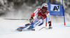 Winner Didier Defago of Switzerland skiing in men super-g race of Audi FIS Alpine skiing World cup in Kitzbuehel, Austria. Men super-g race of Audi FIS Alpine skiing World cup 2013-2014 was held on Sunday, 26th of January 2014 on Streifalm course in Kitzbuehel, Austria.
