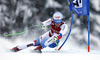 Eight placed Carlo Janka of Switzerland skiing in men super-g race of Audi FIS Alpine skiing World cup in Kitzbuehel, Austria. Men super-g race of Audi FIS Alpine skiing World cup 2013-2014 was held on Sunday, 26th of January 2014 on Streifalm course in Kitzbuehel, Austria.

