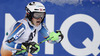 Winner Henrik Kristoffersen of Norway reacts in finish of the second run of The Night race, men slalom race of Audi FIS Alpine skiing World cup in Schladming, Austria. The Night race, men slalom race of Audi FIS Alpine skiing World cup 2013-2014 was held on Tuesday, 28th of January 2014 in Schladming, Austria.
