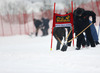 Workers on course trying to prepare course for the first run of 50th Golden Fox trophy women giant slalom race of Audi FIS Alpine skiing World cup in Kranjska Gora, Slovenia. 50th Golden Fox trophy women giant slalom race of Audi FIS Alpine skiing World cup 2013-2014 should be held on Saturday, 1st of February 2014 in Kranjska Gora, Slovenia, but was canceled due rainfall and too soft course.
