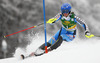 Maria Pietilae-Holmner  of Sweden skiing in first run of 50th Golden Fox trophy women slalom race of Audi FIS Alpine skiing World cup in Kranjska Gora, Slovenia. 50th Golden Fox trophy women slalom race of Audi FIS Alpine skiing World cup 2013-2014 was held on Sunday, 2nd of February 2014 in Kranjska Gora, Slovenia
