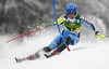 Maria Pietilae-Holmner  of Sweden skiing in first run of 50th Golden Fox trophy women slalom race of Audi FIS Alpine skiing World cup in Kranjska Gora, Slovenia. 50th Golden Fox trophy women slalom race of Audi FIS Alpine skiing World cup 2013-2014 was held on Sunday, 2nd of February 2014 in Kranjska Gora, Slovenia
