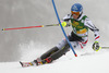 Marlies Schild  of Austria skiing in first run of 50th Golden Fox trophy women slalom race of Audi FIS Alpine skiing World cup in Kranjska Gora, Slovenia. 50th Golden Fox trophy women slalom race of Audi FIS Alpine skiing World cup 2013-2014 was held on Sunday, 2nd of February 2014 in Kranjska Gora, Slovenia
