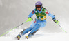 Tina Maze  of Slovenia skiing in first run of 50th Golden Fox trophy women slalom race of Audi FIS Alpine skiing World cup in Kranjska Gora, Slovenia. 50th Golden Fox trophy women slalom race of Audi FIS Alpine skiing World cup 2013-2014 was held on Sunday, 2nd of February 2014 in Kranjska Gora, Slovenia
