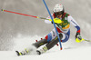 Wendy Holdener  of Switzerland skiing in first run of 50th Golden Fox trophy women slalom race of Audi FIS Alpine skiing World cup in Kranjska Gora, Slovenia. 50th Golden Fox trophy women slalom race of Audi FIS Alpine skiing World cup 2013-2014 was held on Sunday, 2nd of February 2014 in Kranjska Gora, Slovenia
