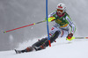 Christina Geiger  of Germany skiing in first run of 50th Golden Fox trophy women slalom race of Audi FIS Alpine skiing World cup in Kranjska Gora, Slovenia. 50th Golden Fox trophy women slalom race of Audi FIS Alpine skiing World cup 2013-2014 was held on Sunday, 2nd of February 2014 in Kranjska Gora, Slovenia
