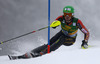 Erin Mielzynski  of Canada skiing in first run of 50th Golden Fox trophy women slalom race of Audi FIS Alpine skiing World cup in Kranjska Gora, Slovenia. 50th Golden Fox trophy women slalom race of Audi FIS Alpine skiing World cup 2013-2014 was held on Sunday, 2nd of February 2014 in Kranjska Gora, Slovenia
