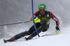 Erin Mielzynski  of Canada skiing in first run of 50th Golden Fox trophy women slalom race of Audi FIS Alpine skiing World cup in Kranjska Gora, Slovenia. 50th Golden Fox trophy women slalom race of Audi FIS Alpine skiing World cup 2013-2014 was held on Sunday, 2nd of February 2014 in Kranjska Gora, Slovenia
