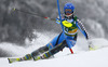 Emelie Wikstroem  of Sweden skiing in first run of 50th Golden Fox trophy women slalom race of Audi FIS Alpine skiing World cup in Kranjska Gora, Slovenia. 50th Golden Fox trophy women slalom race of Audi FIS Alpine skiing World cup 2013-2014 was held on Sunday, 2nd of February 2014 in Kranjska Gora, Slovenia
