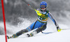 Emelie Wikstroem  of Sweden skiing in first run of 50th Golden Fox trophy women slalom race of Audi FIS Alpine skiing World cup in Kranjska Gora, Slovenia. 50th Golden Fox trophy women slalom race of Audi FIS Alpine skiing World cup 2013-2014 was held on Sunday, 2nd of February 2014 in Kranjska Gora, Slovenia
