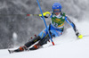 Charlotta Saefvenberg  of Sweden skiing in first run of 50th Golden Fox trophy women slalom race of Audi FIS Alpine skiing World cup in Kranjska Gora, Slovenia. 50th Golden Fox trophy women slalom race of Audi FIS Alpine skiing World cup 2013-2014 was held on Sunday, 2nd of February 2014 in Kranjska Gora, Slovenia
