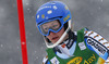 Charlotta Saefvenberg  of Sweden skiing in first run of 50th Golden Fox trophy women slalom race of Audi FIS Alpine skiing World cup in Kranjska Gora, Slovenia. 50th Golden Fox trophy women slalom race of Audi FIS Alpine skiing World cup 2013-2014 was held on Sunday, 2nd of February 2014 in Kranjska Gora, Slovenia
