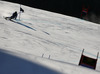 Philipp Schoerghofer of Austria skiing in first run of men giant slalom race of Audi FIS Alpine skiing World cup in Kranjska Gora, Slovenia. 53rd Vitranc cup men giant slalom race of Audi FIS Alpine skiing World cup 2013-2014 was held on Saturday, 8th of March 2014 in Kranjska Gora, Slovenia
