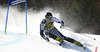 Samu Torsti of Finland skiing in first run of men giant slalom race of Audi FIS Alpine skiing World cup in Kranjska Gora, Slovenia. 53rd Vitranc cup men giant slalom race of Audi FIS Alpine skiing World cup 2013-2014 was held on Saturday, 8th of March 2014 in Kranjska Gora, Slovenia
