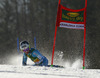 Rasmus Windingstad of Norway skiing in first run of men giant slalom race of Audi FIS Alpine skiing World cup in Kranjska Gora, Slovenia. 53rd Vitranc cup men giant slalom race of Audi FIS Alpine skiing World cup 2013-2014 was held on Saturday, 8th of March 2014 in Kranjska Gora, Slovenia
