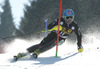 Stefano Gross of Italy skiing in first run of men slalom race of Audi FIS Alpine skiing World cup in Kranjska Gora, Slovenia. The 53rd Vitranc cup men slalom race of Audi FIS Alpine skiing World cup 2013-2014 was held on Sunday, 9th of March 2014 on Podkoren course in Kranjska Gora, Slovenia

