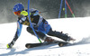 Markus Larsson of Sweden skiing in first run of men slalom race of Audi FIS Alpine skiing World cup in Kranjska Gora, Slovenia. The 53rd Vitranc cup men slalom race of Audi FIS Alpine skiing World cup 2013-2014 was held on Sunday, 9th of March 2014 on Podkoren course in Kranjska Gora, Slovenia
