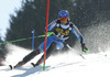 Axel Baeck of Sweden skiing in first run of men slalom race of Audi FIS Alpine skiing World cup in Kranjska Gora, Slovenia. The 53rd Vitranc cup men slalom race of Audi FIS Alpine skiing World cup 2013-2014 was held on Sunday, 9th of March 2014 on Podkoren course in Kranjska Gora, Slovenia
