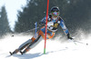 Leif Kristian Haugen of Norway skiing in first run of men slalom race of Audi FIS Alpine skiing World cup in Kranjska Gora, Slovenia. The 53rd Vitranc cup men slalom race of Audi FIS Alpine skiing World cup 2013-2014 was held on Sunday, 9th of March 2014 on Podkoren course in Kranjska Gora, Slovenia
