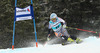Tanja Poutiainen of Finland skiing in last giant slalom race of Audi FIS Alpine skiing World cup 2013-2014 in Lenzerheide, Switzerland. Last giant slalom race of season 2013-2014 and also last World cup race of Tanja Poutiainen in her career was held in Lenzerheide, Switzerland, on Sunday, 16th of March 2014.
