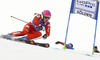 Nadia Fanchini of Italy skiing in first run of women giant slalom race of Audi FIS Alpine skiing World cup in Soelden, Austria. First race of Audi FIS Alpine skiing World cup season 2014-2015, was held on Saturday, 25th of October 2014 on Rettenbach glacier above Soelden, Austria
