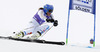 Anna Swenn-Larsson of Sweden skiing in first run of women giant slalom race of Audi FIS Alpine skiing World cup in Soelden, Austria. First race of Audi FIS Alpine skiing World cup season 2014-2015, was held on Saturday, 25th of October 2014 on Rettenbach glacier above Soelden, Austria
