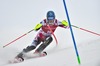 Benjamin Raich (AUT) in action during 1st run of Mens Slalom of FIS ski alpine world cup at the Levi Black in  Levi, Finland on 2014/11/16.
