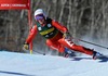 Federica Brignone of Italy in action during 1st run of ladies Giant Slalom of FIS Ski Alpine Worldcup at the Aspen Mountain Course in Aspen, United States on 2014/11/29. 
